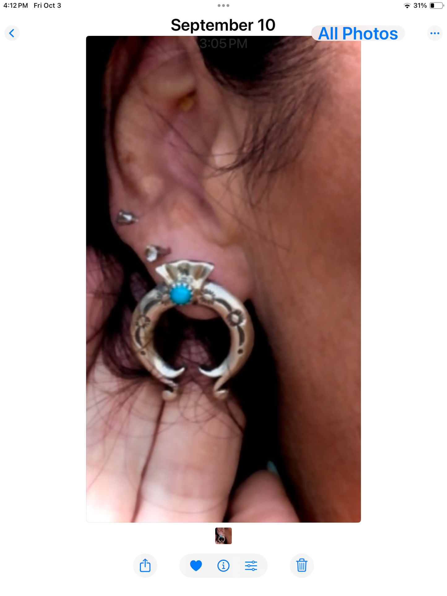 Horseshoe earrings