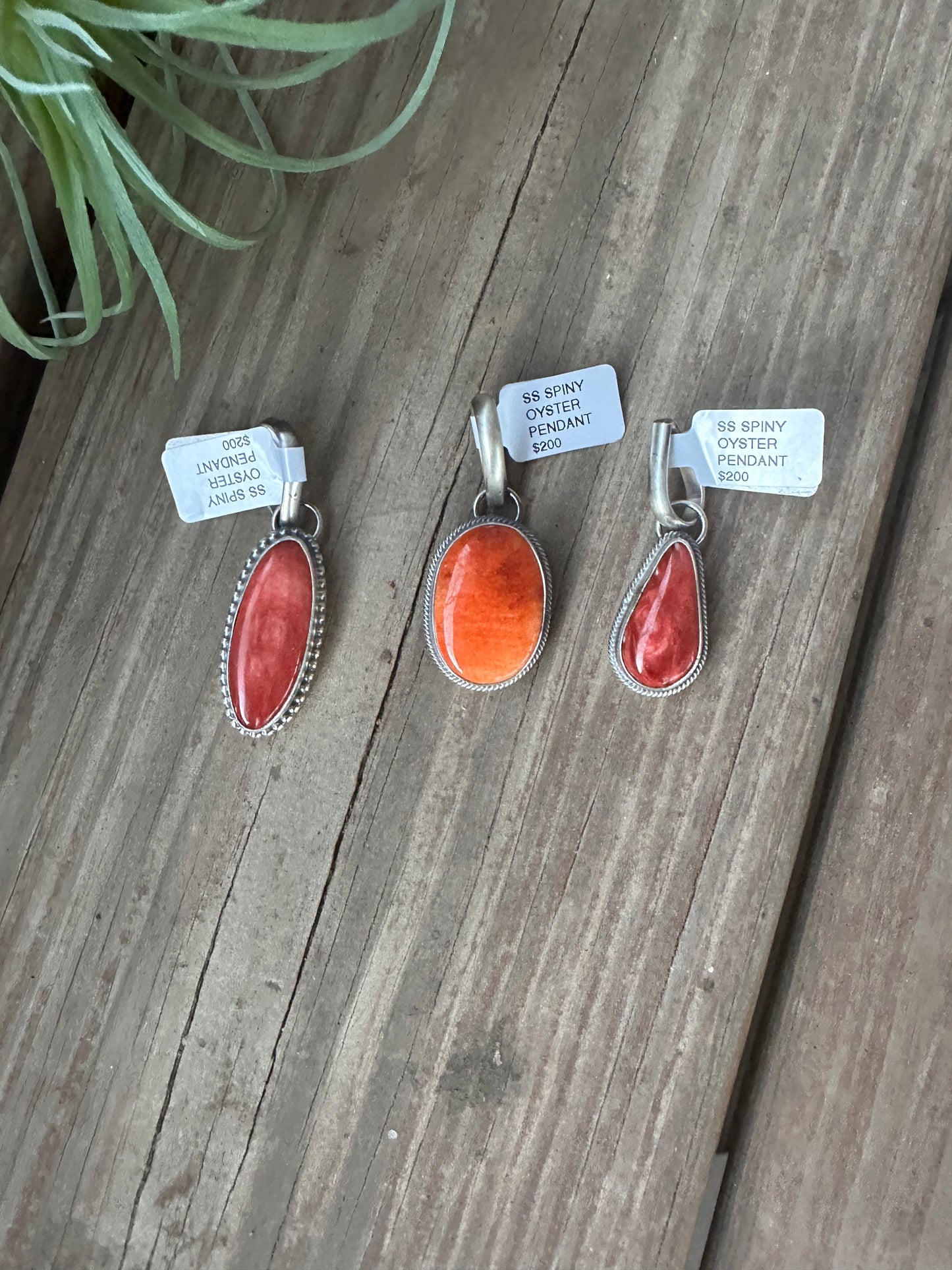Spiny Oyster Pendant