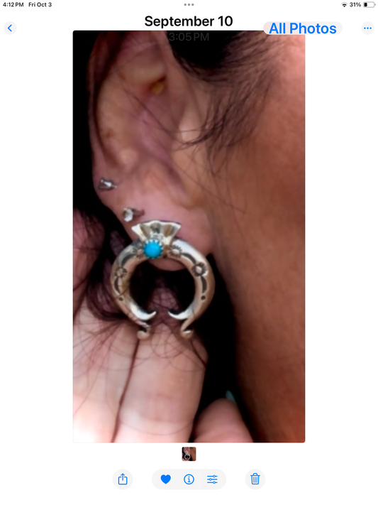 Horseshoe earrings